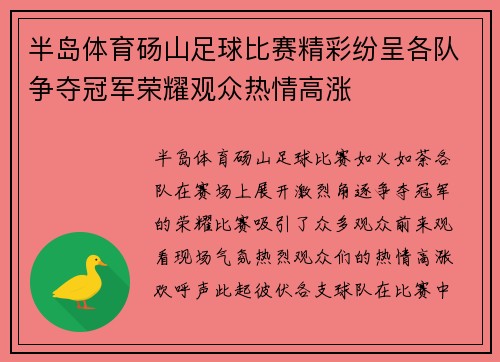 半岛体育砀山足球比赛精彩纷呈各队争夺冠军荣耀观众热情高涨